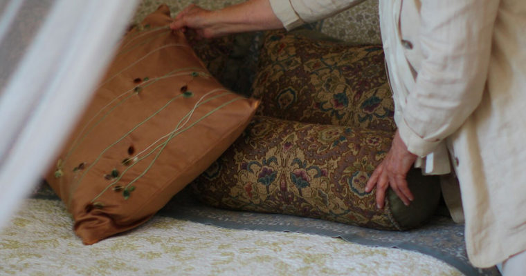 Welcome to Sanivan 10